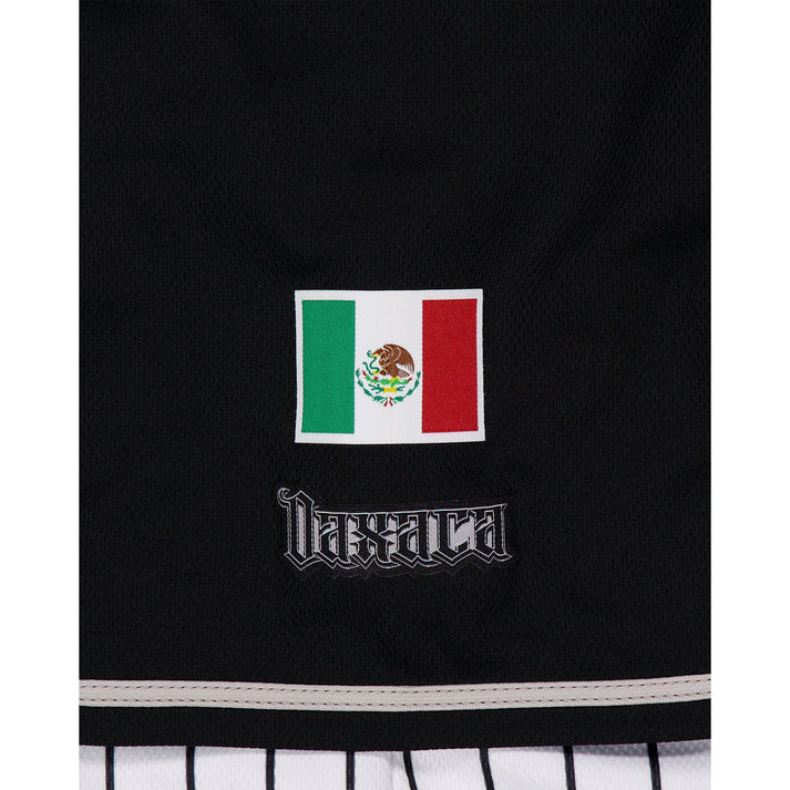 Guerreros de Oaxaca Home Jersey