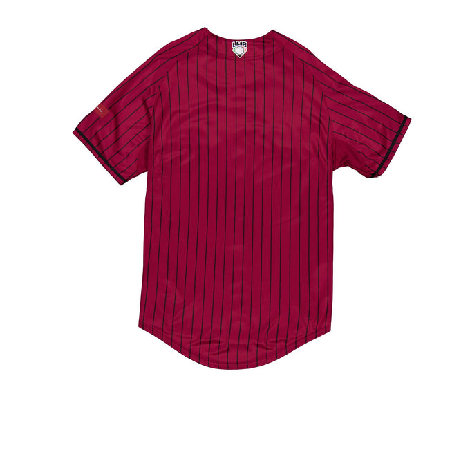 Guerreros de Oaxaca Pinstripe Jersey