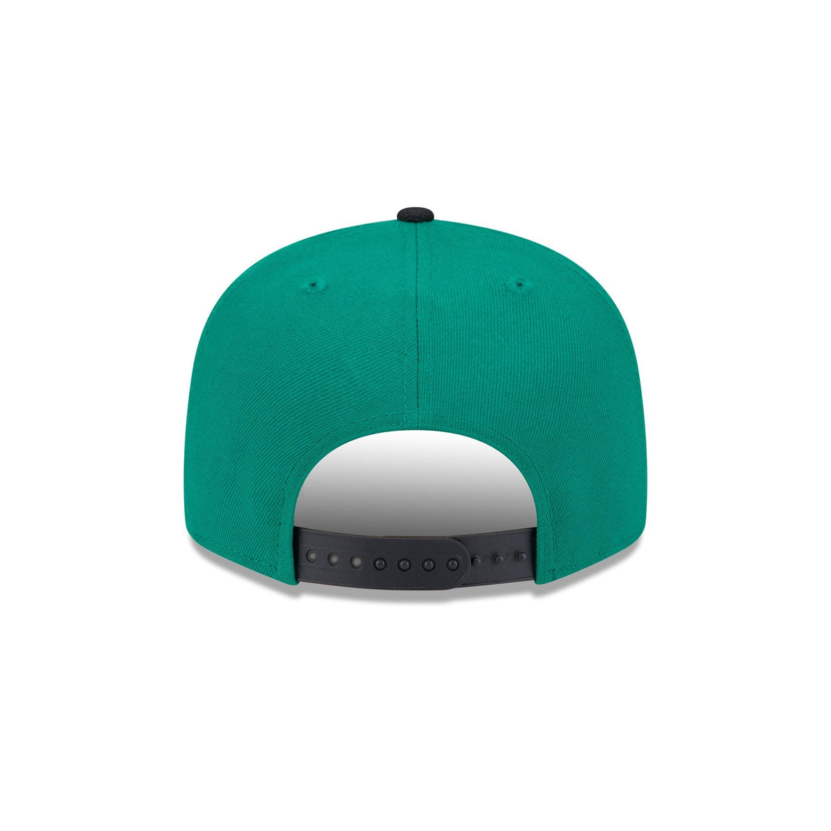 Saskatchewan Roughriders Team 9FIFTY Snapback Hat