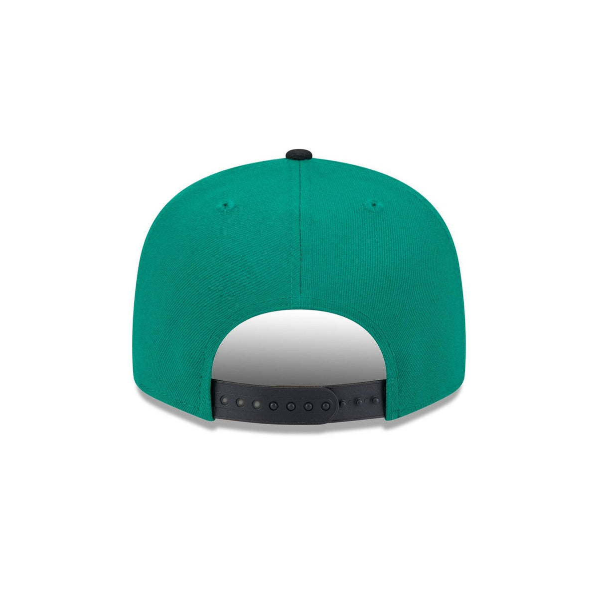 Saskatchewan Roughriders Team 9FIFTY Snapback Hat