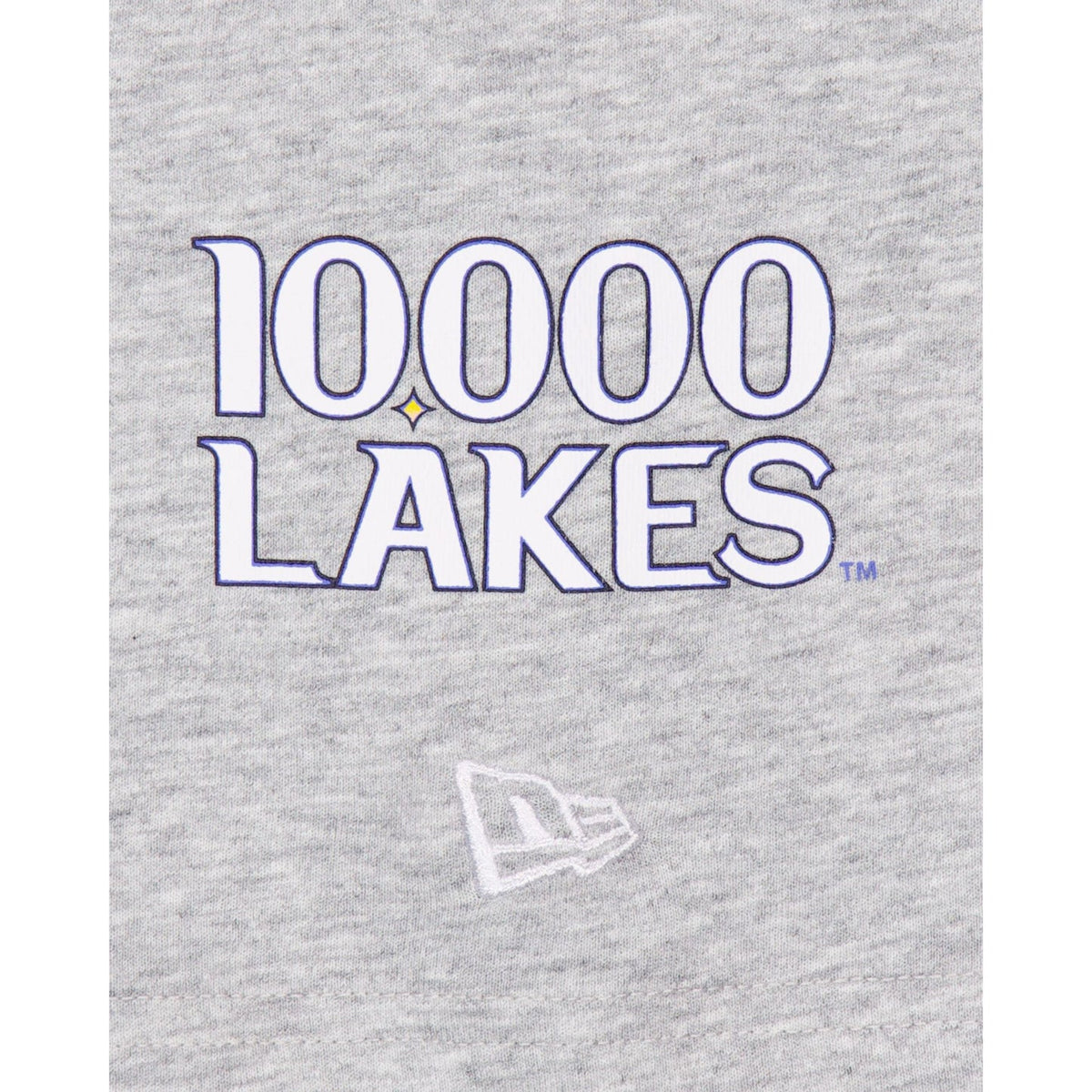 Minnesota Twins City Connect Gray T-Shirt