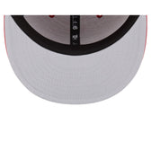 South Carolina Gamecocks 9FIFTY Snapback Hat