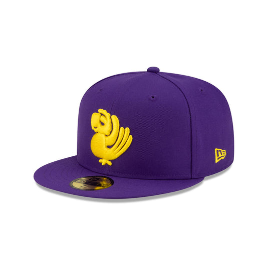 Flash 59FIFTY Fitted Hat