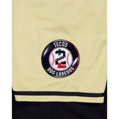 Tecolotes de los Dos Laredos Alt Jersey