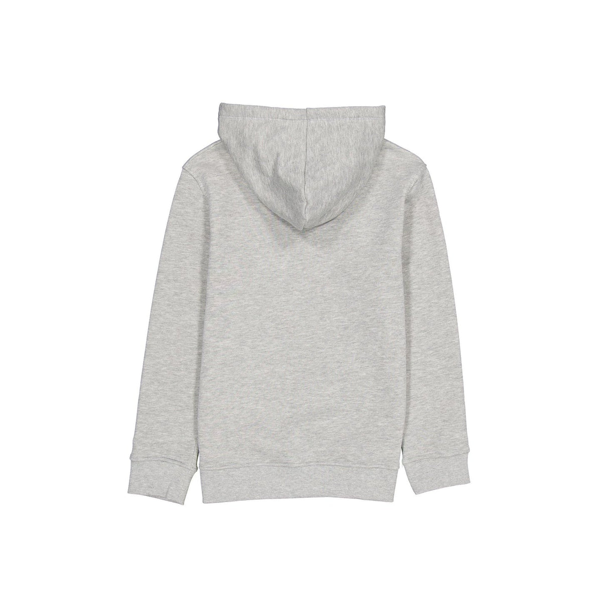 Colorado Avalanche Gray Hoodie