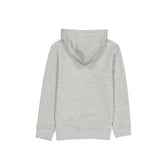 Colorado Avalanche Gray Hoodie