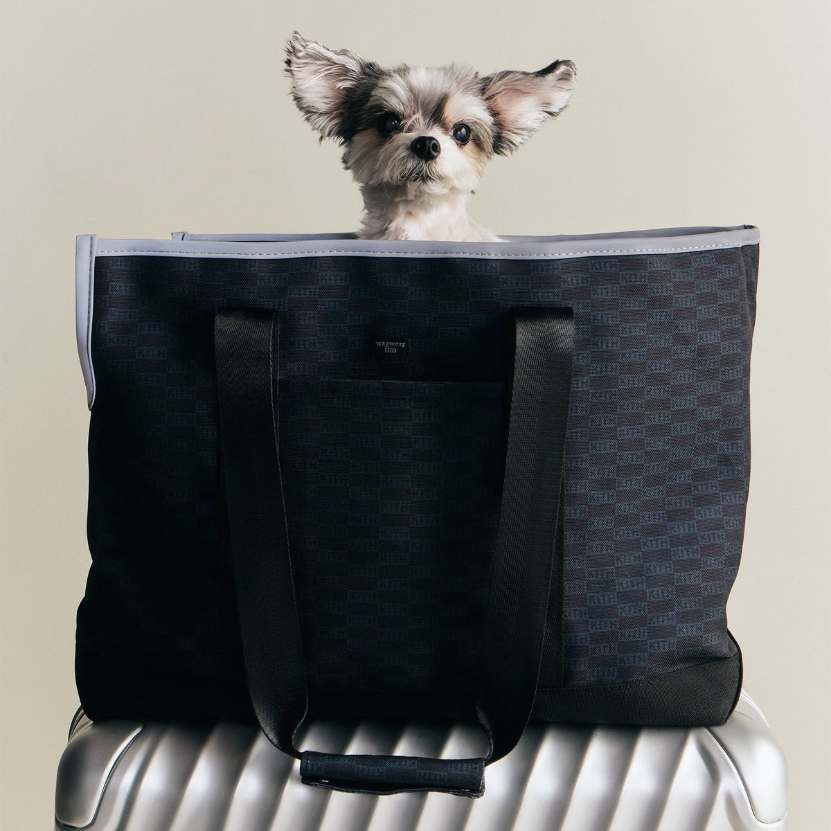 Kith for wagwear Carpenter Bag Carrier - Black