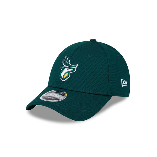 Edmonton Elks Team 9TWENTY Adjustable Hat