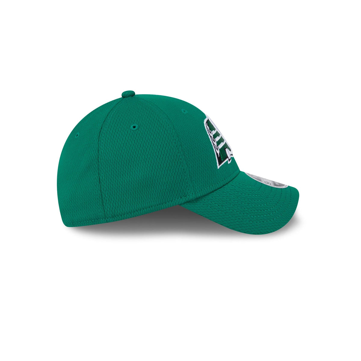Saskatchewan Roughriders Team 9FORTY Snapback Hat