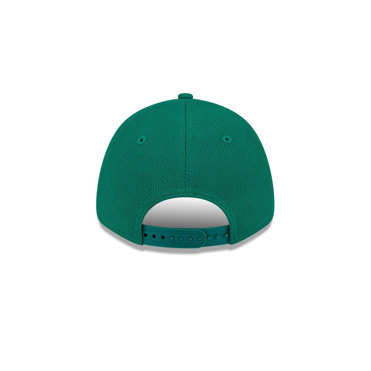 Saskatchewan Roughriders Team 9FORTY Snapback Hat