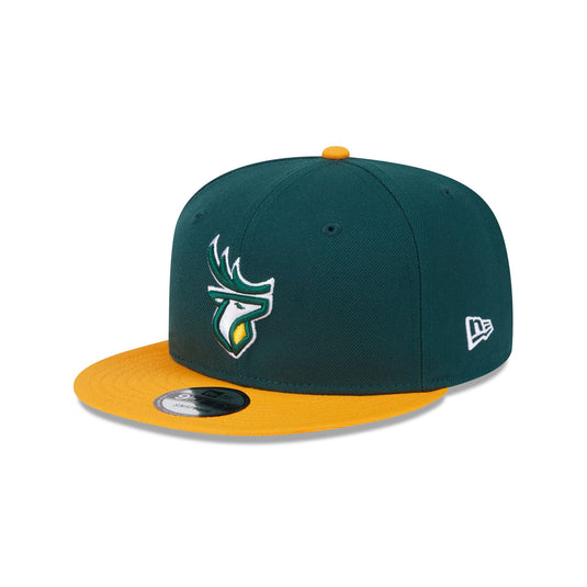 Saskatchewan Roughriders Team 9FIFTY Snapback Hat