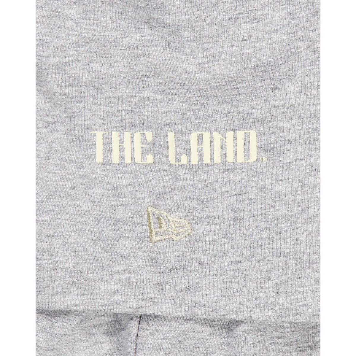 Cleveland Guardians City Connect Gray T-Shirt