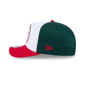Minnesota Wild NHL Pack Golfer Hat