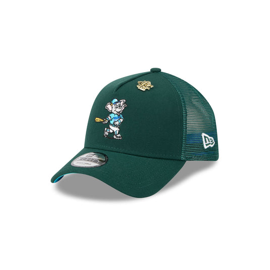 Philadelphia Eagles Basic 9FIFTY Snapback Hat