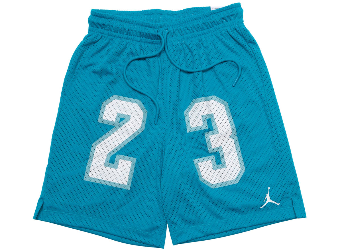 Jordan Essentials Mesh Shorts in Aquatone / White